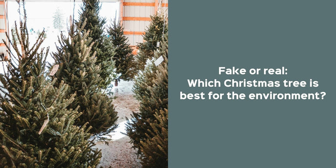 Fake or real: which Christmas tree is best for the environment?