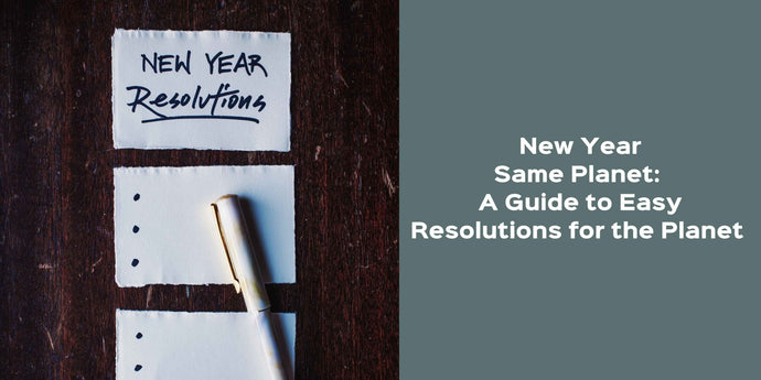 New Year Same Planet: A Guide to Easy Resolutions for the Planet