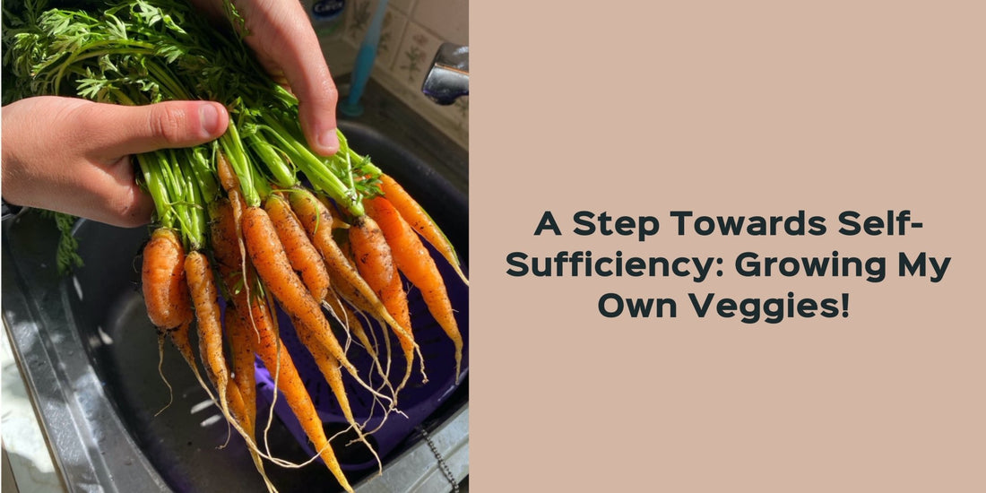 A Step Towards Self-Sufficiency: Growing My Own Veggies! - Onesta UK