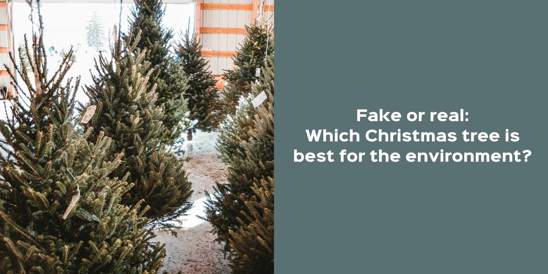 Fake or real: which Christmas tree is best for the environment? - Onesta UK