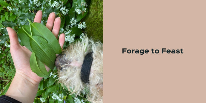 Forage to Feast