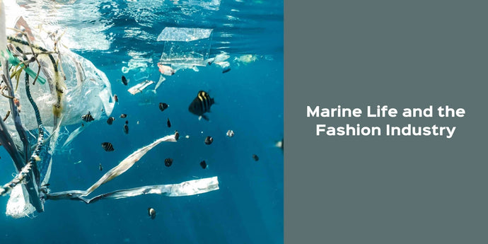 Marine Life and the Fashion Industry: What’s the connection? And how can we help?