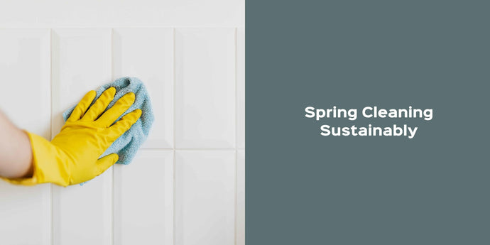 Spring Cleaning Sustainably